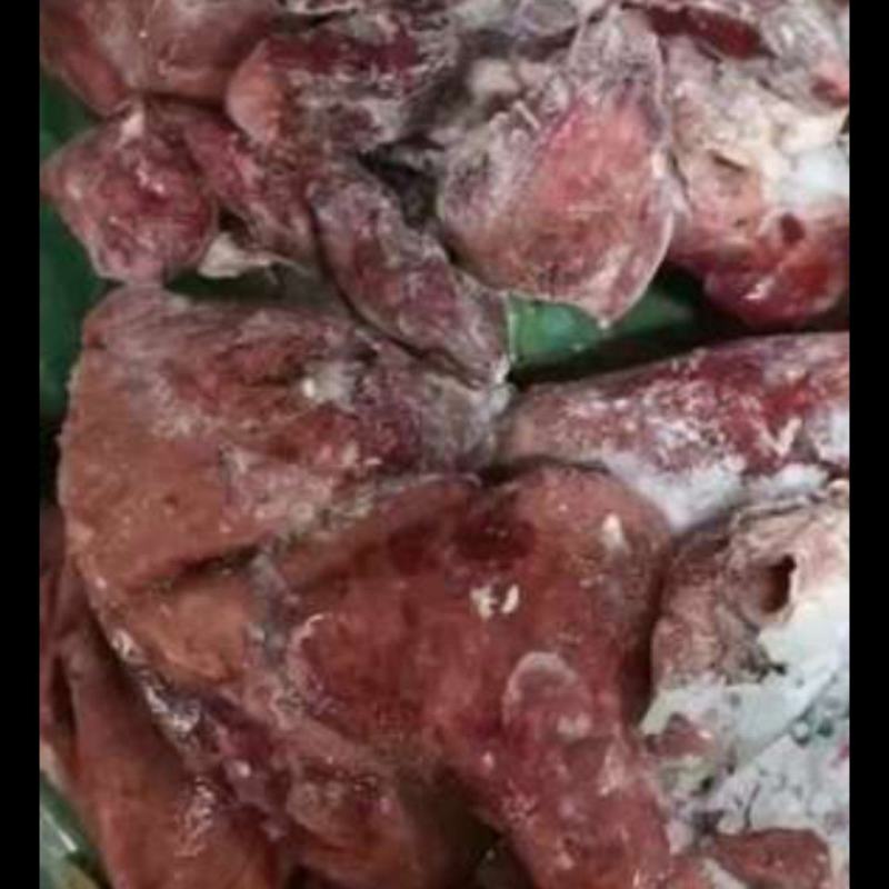 熟羊肺