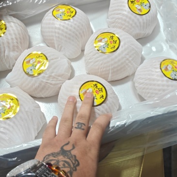 王鲜源高端秋月梨现货供应质量三包包售后，产地直供一手货源