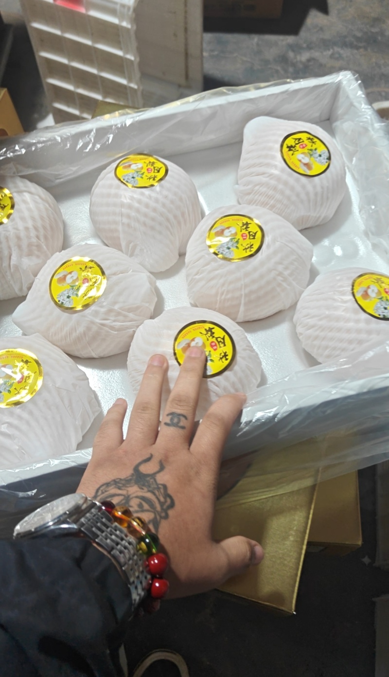 王鲜源高端秋月梨现货供应质量三包包售后，产地直供一手货源
