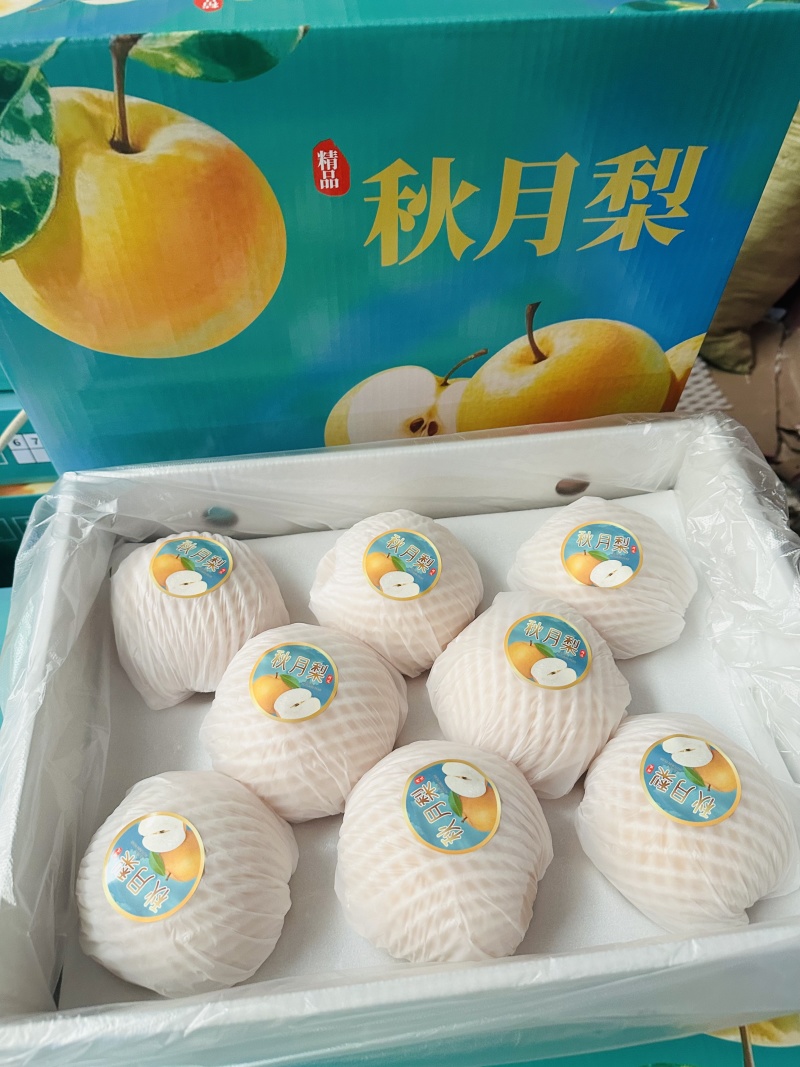 王鲜源高端秋月梨现货供应质量三包包售后，产地直供一手货源