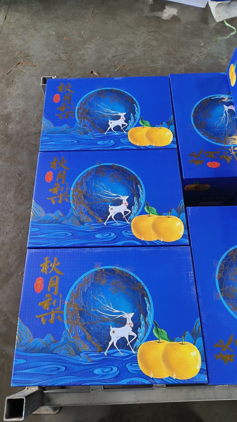 王鲜源高端秋月梨现货供应质量三包包售后，产地直供一手货源