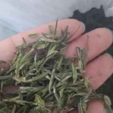 高山茶叶天柱剑毫