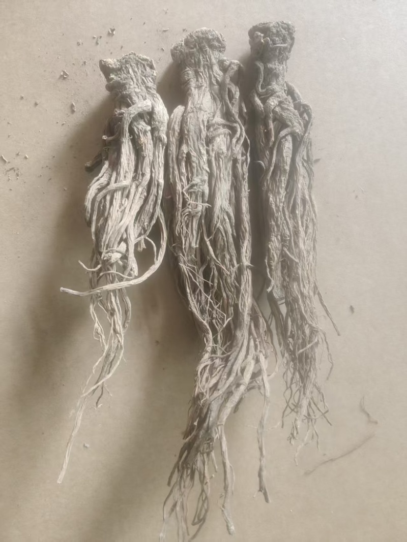 （实）甘肃岷县热卖当归产地直发，可视频看货