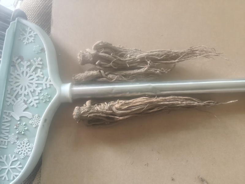 （实）甘肃岷县热卖当归产地直发，可视频看货