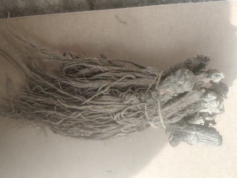 （实）甘肃岷县热卖当归产地直发，可视频看货