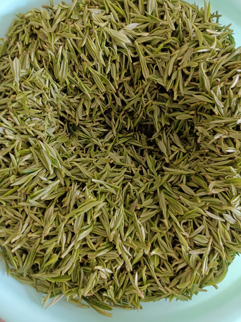 高山茶叶天柱剑毫