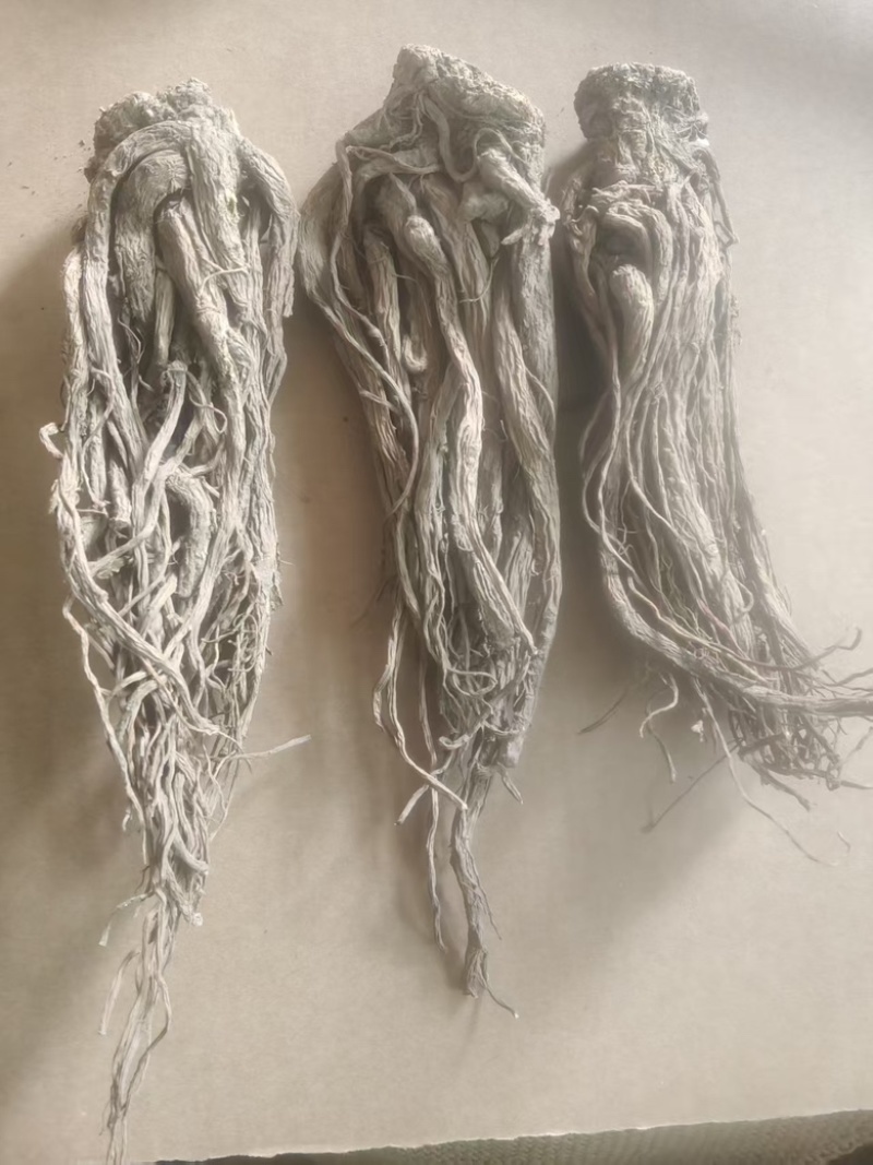 （实）甘肃岷县热卖当归产地直发，可视频看货