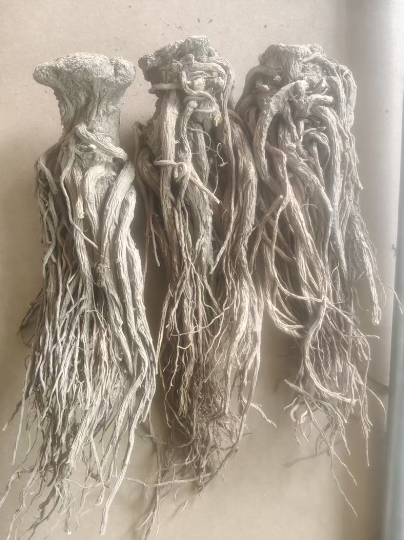 （实）甘肃岷县热卖当归产地直发，可视频看货