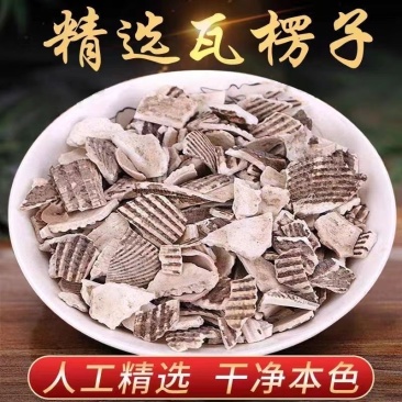 无硫瓦楞子正宗中药材批发生瓦楞子煅瓦楞子瓦垄子野生瓦楞子