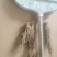 (牛)甘肃岷县热卖当归产地直发,可视频看货