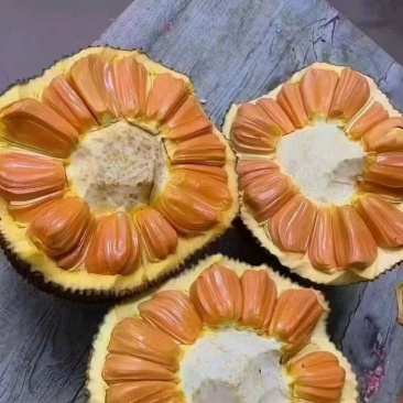 越南印尼红菠萝蜜大量供应，产地直供一手货源欢迎合作