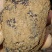 纯野生黑松露