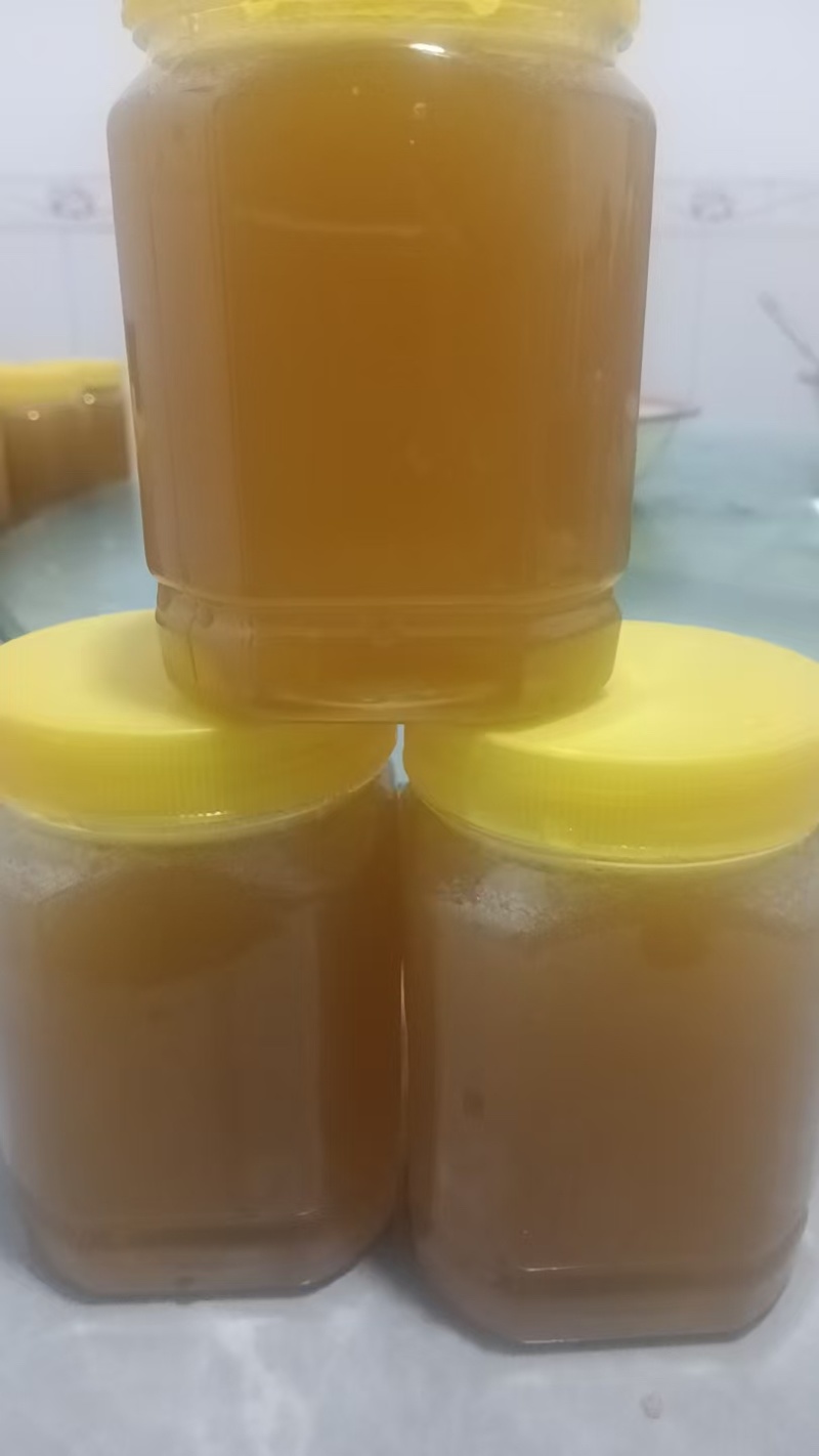 今年新采的蜜蜂🐝冬蜜