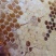 今年新采的蜜蜂🐝冬蜜