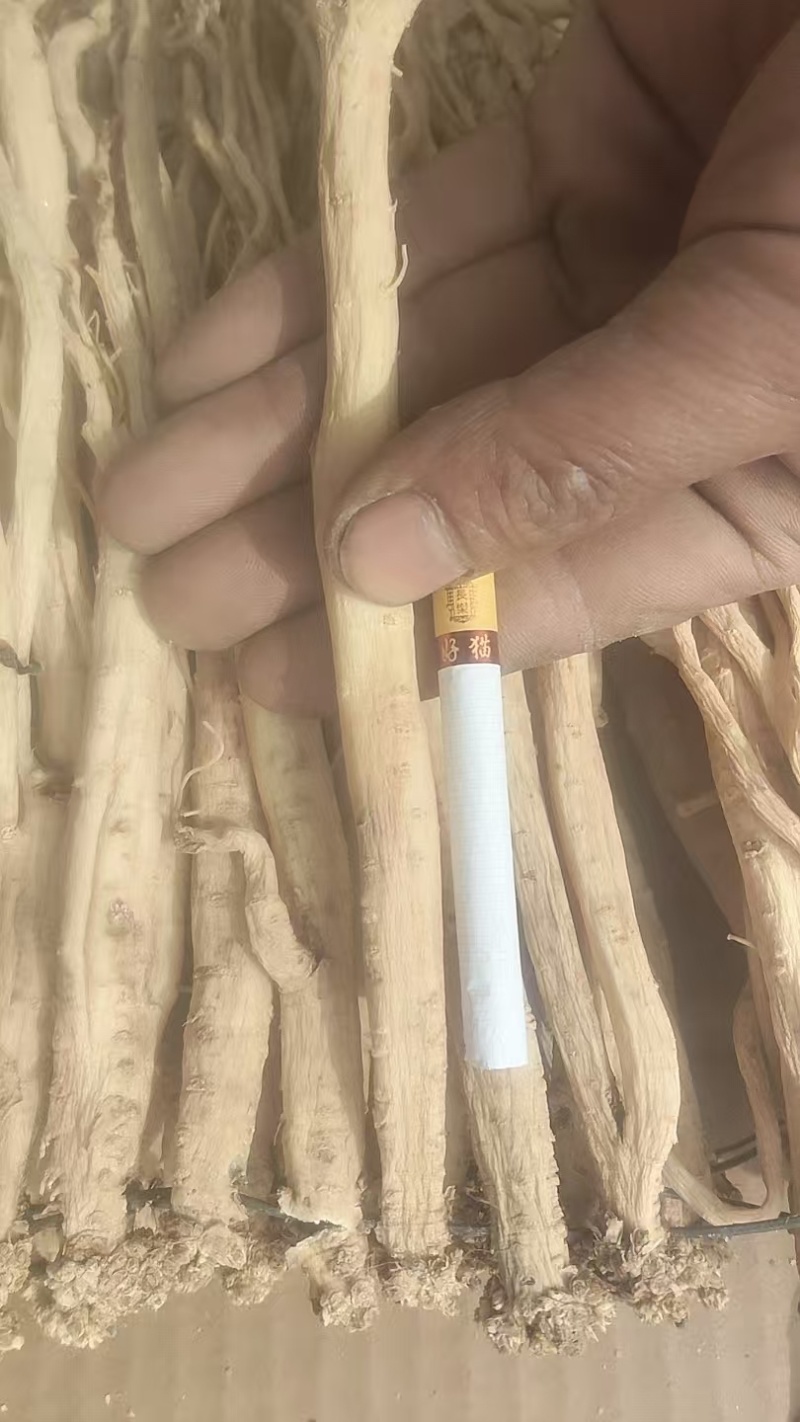 （实）甘肃岷县白条党参产地直发，支持视频看货，欢迎电联