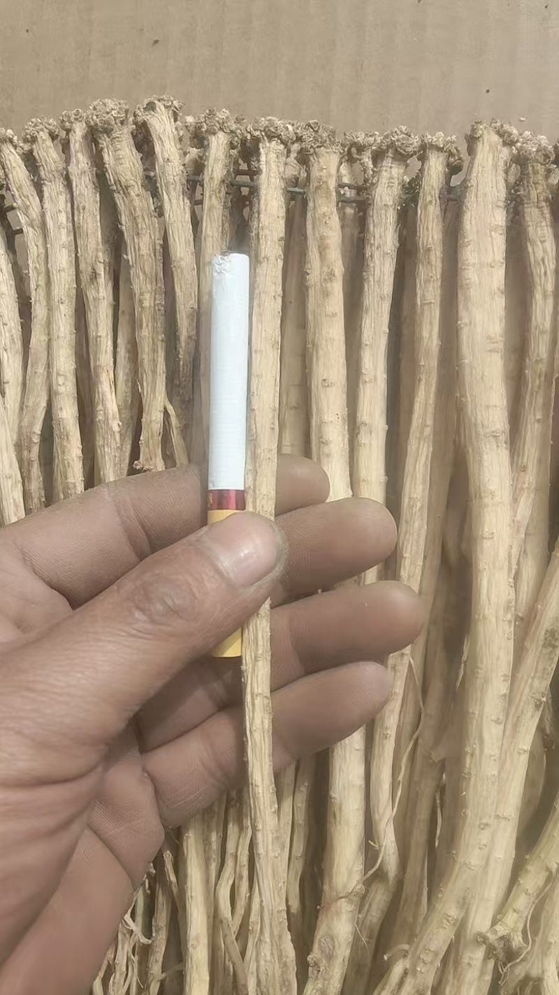 （实）甘肃岷县白条党参产地直发，支持视频看货，欢迎电联