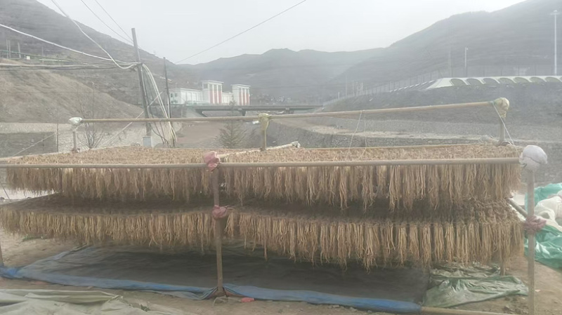 （实）甘肃岷县白条党参产地直发，支持视频看货，欢迎电联
