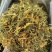 山银花支持线上交易量大从优山银花