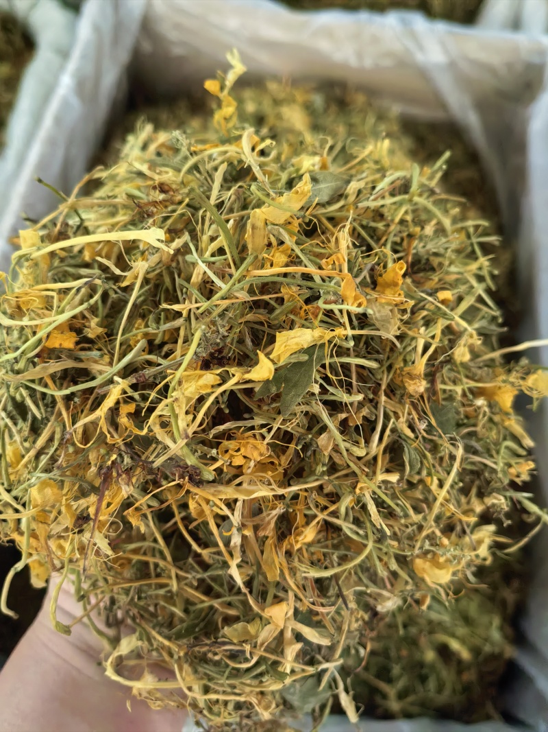 山银花支持线上交易量大从优山银花