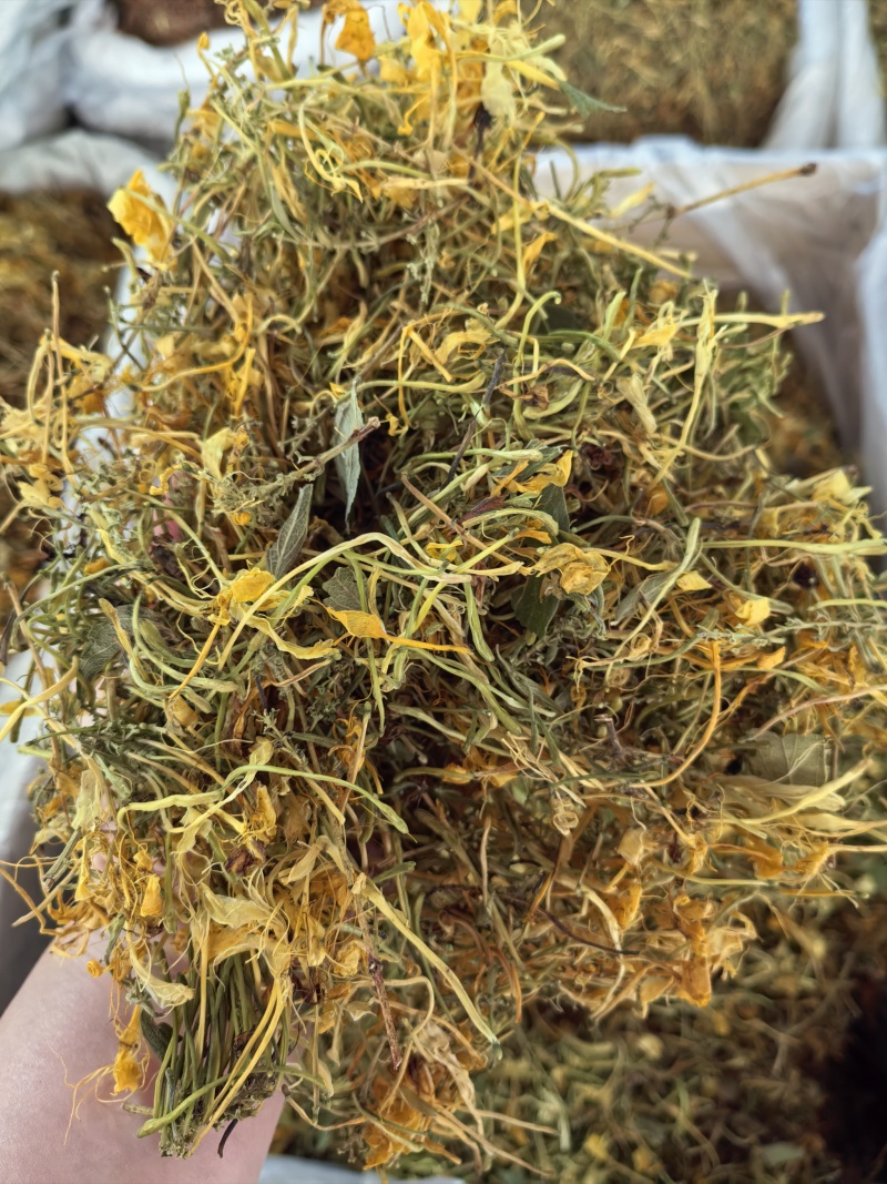 山银花支持线上交易量大从优山银花
