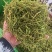 山银花支持线上交易量大从优山银花