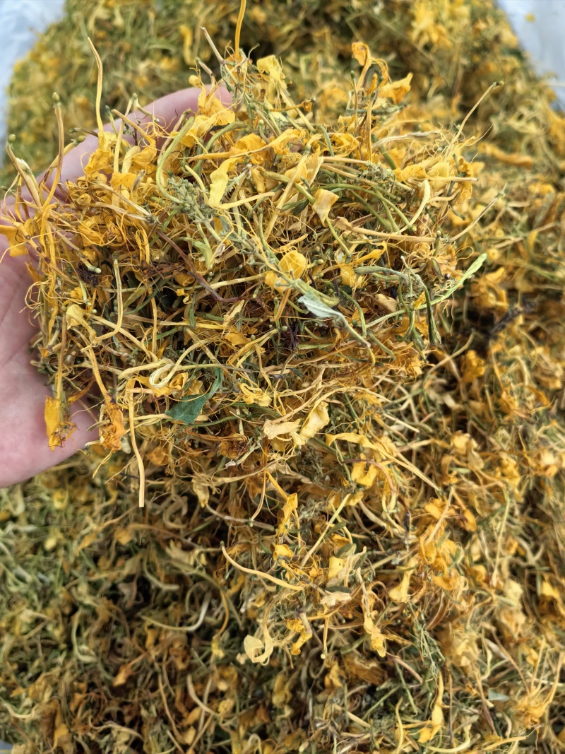 山银花支持线上交易量大从优山银花