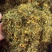 山银花支持线上交易量大从优山银花