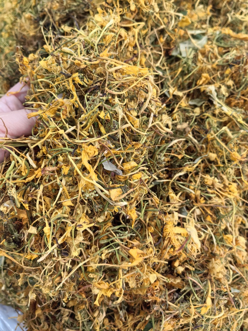 山银花支持线上交易量大从优山银花