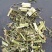 益母草生切益母草片产地直销量大从优