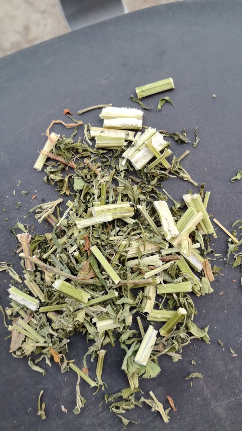 益母草生切益母草片产地直销量大从优