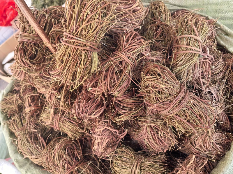 鸡骨草光梗鸡骨草新货扎把光梗鸡骨草量大从优