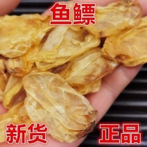 中药材鱼鳔鱼螵鱼胶鱼肚鱼膘黄花胶鱼漂胶鱼鳔胶正品