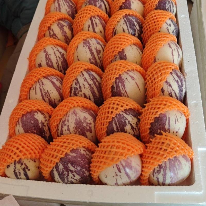 精品包装人参果，产地发货