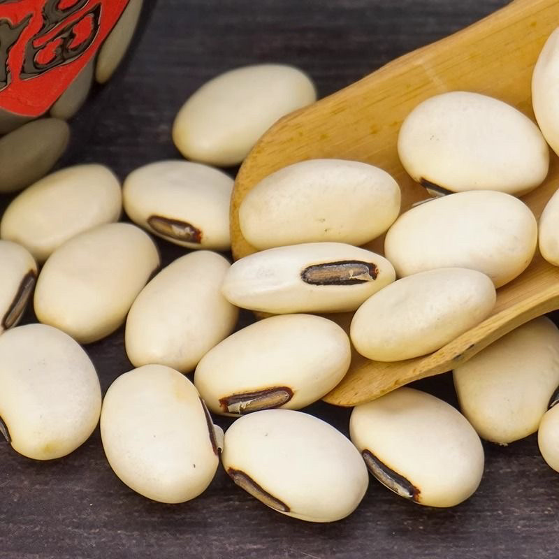 刀豆红中药材正品中药材大全大刀豆子刀豆干货