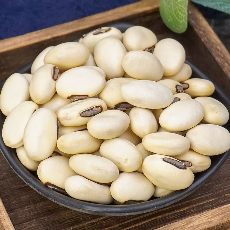 刀豆红中药材正品中药材大全大刀豆子刀豆干货