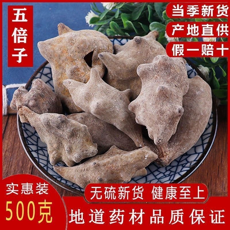 中药材新货五倍子中药材