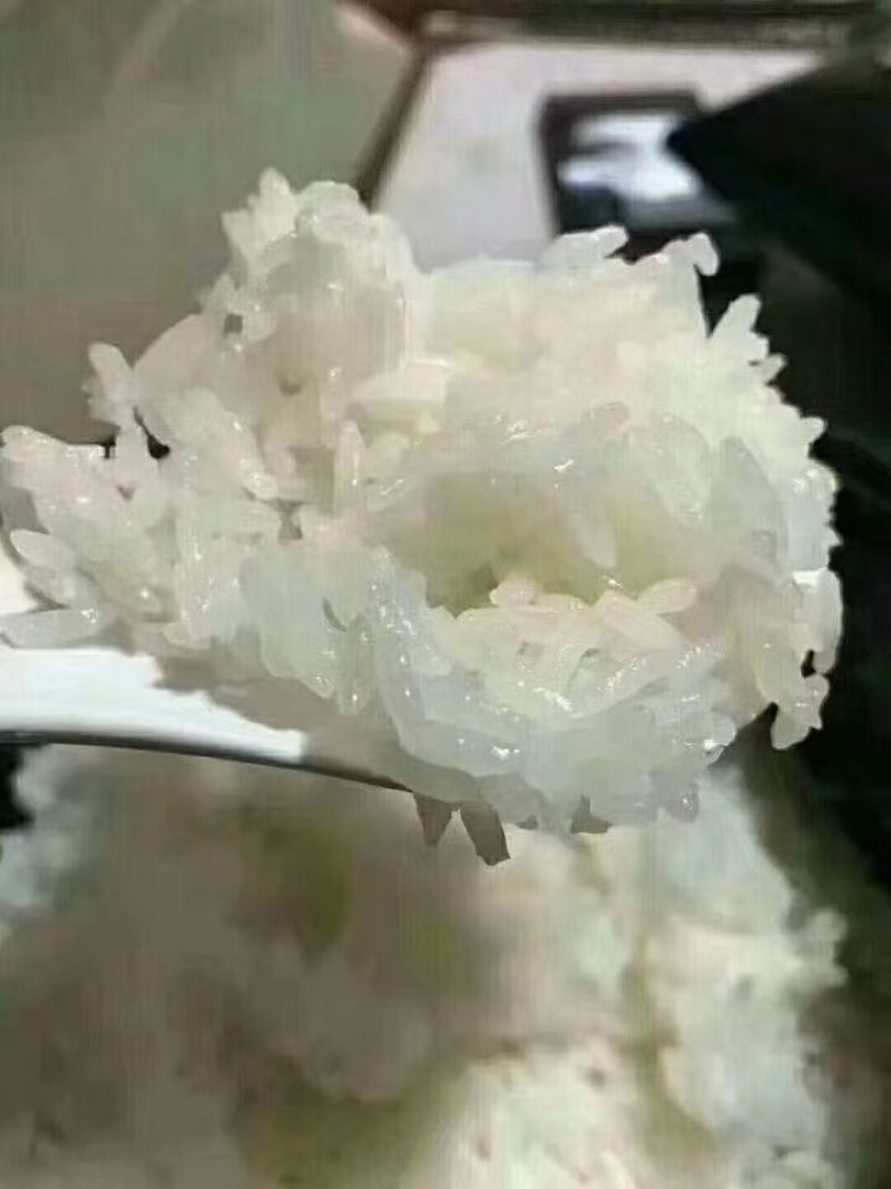 哈尔滨宾县大米