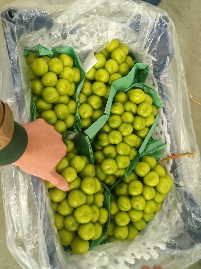 欢迎新老客户洽谈合作