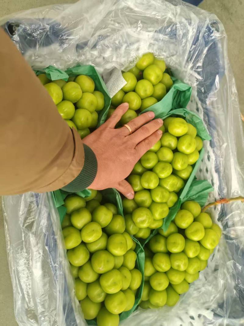 欢迎新老客户洽谈合作