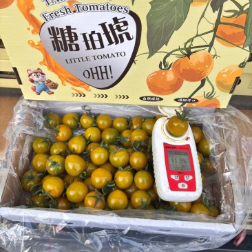 糖珀琥，寿光产区