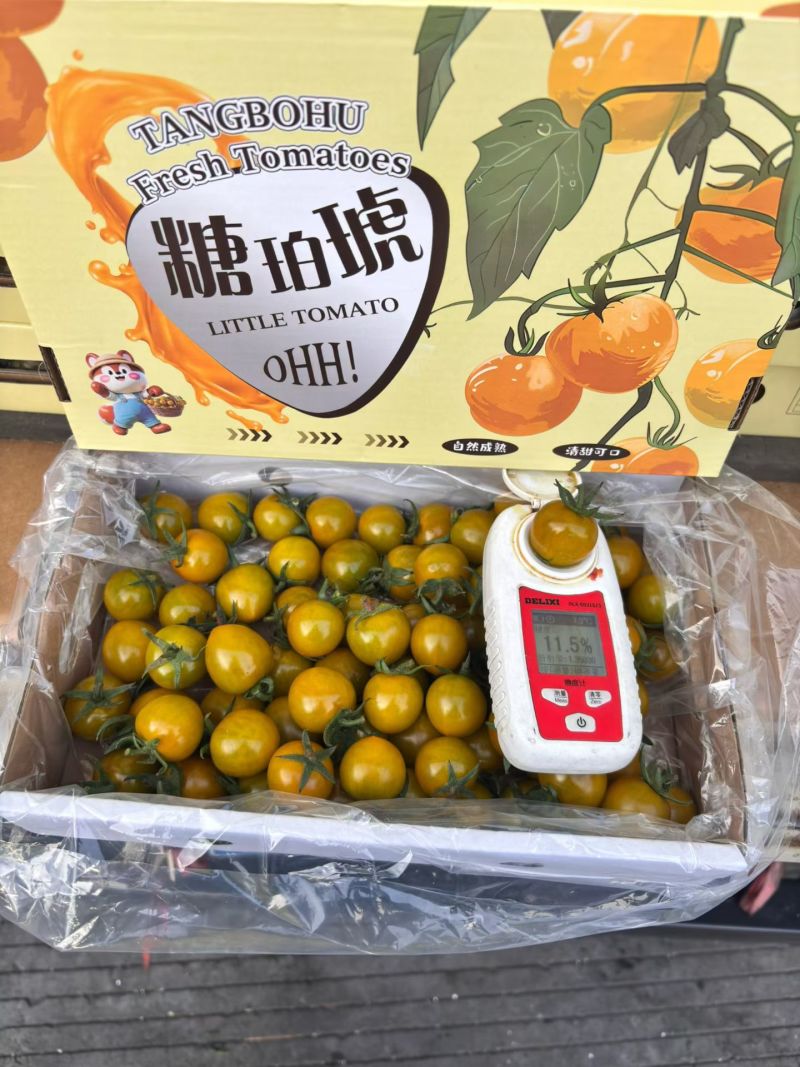 糖珀琥，寿光产区