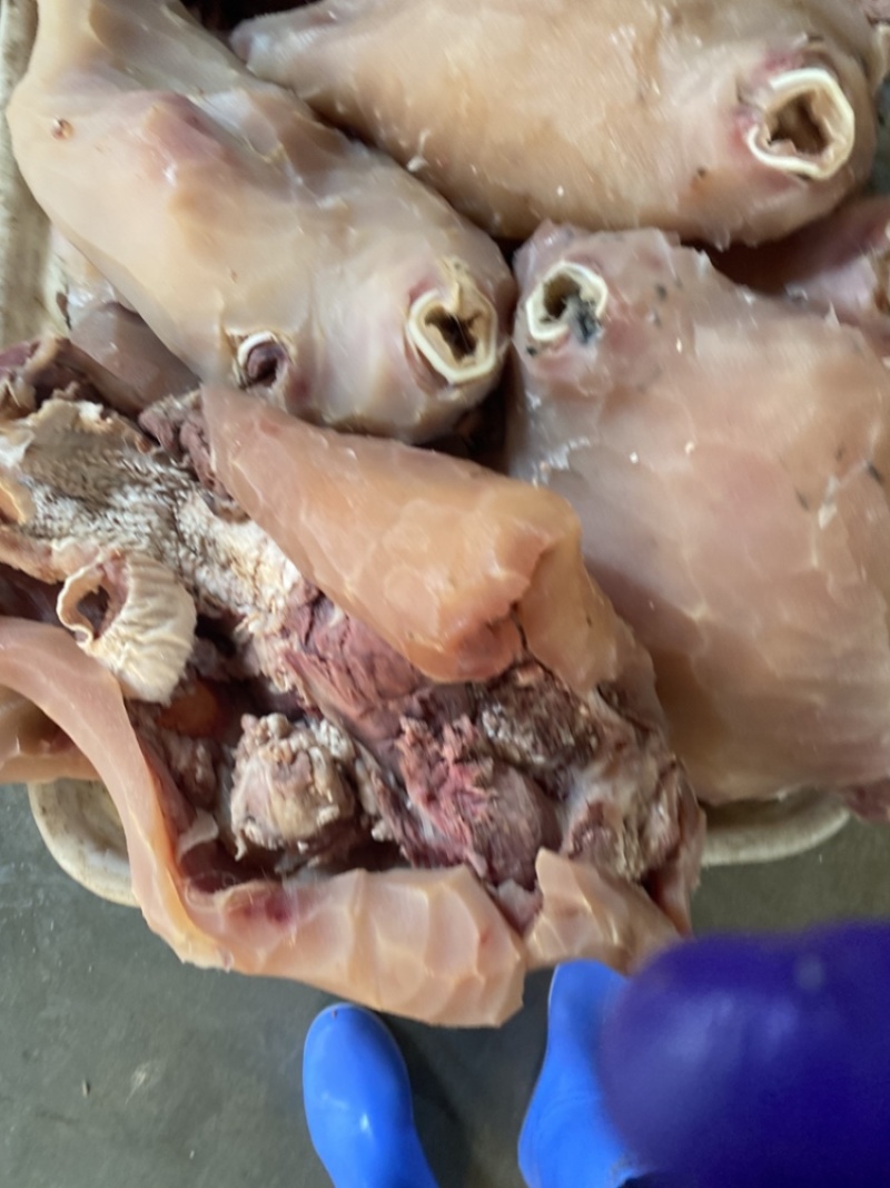 黄牛牛头肉，每天大量现货！