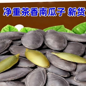 茶香南瓜子新货炒熟南瓜籽颗粒坚果零食炒货