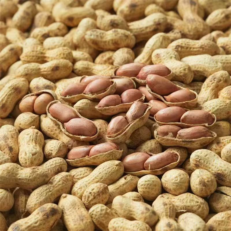 熟花生铁锅炒花生炒小珍珠花生电商货一件代发来电咨询