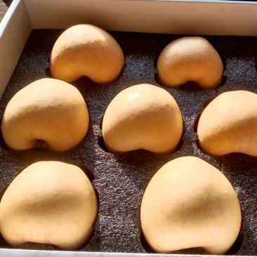 精品礼盒维娜斯黄金苹果