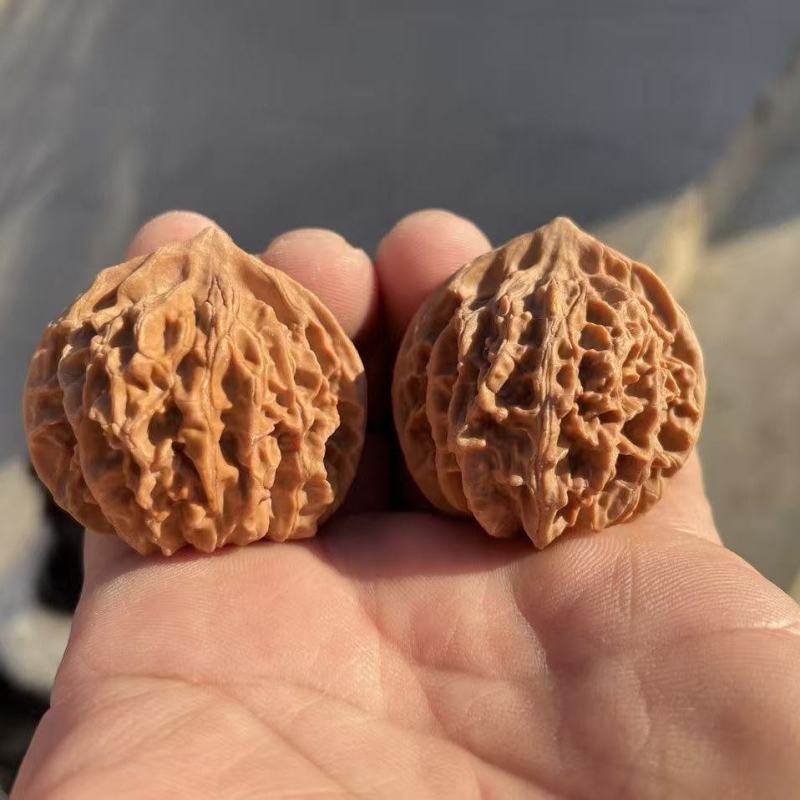 正宗的老树红皮山地文玩核桃老血灯笼狮子头