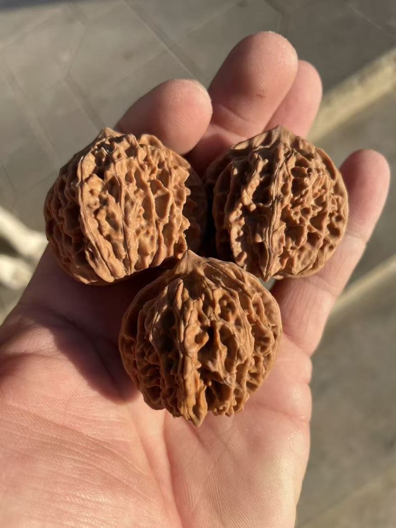正宗的老树红皮山地文玩核桃老血灯笼狮子头
