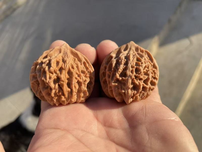 正宗的老树红皮山地文玩核桃老血灯笼狮子头
