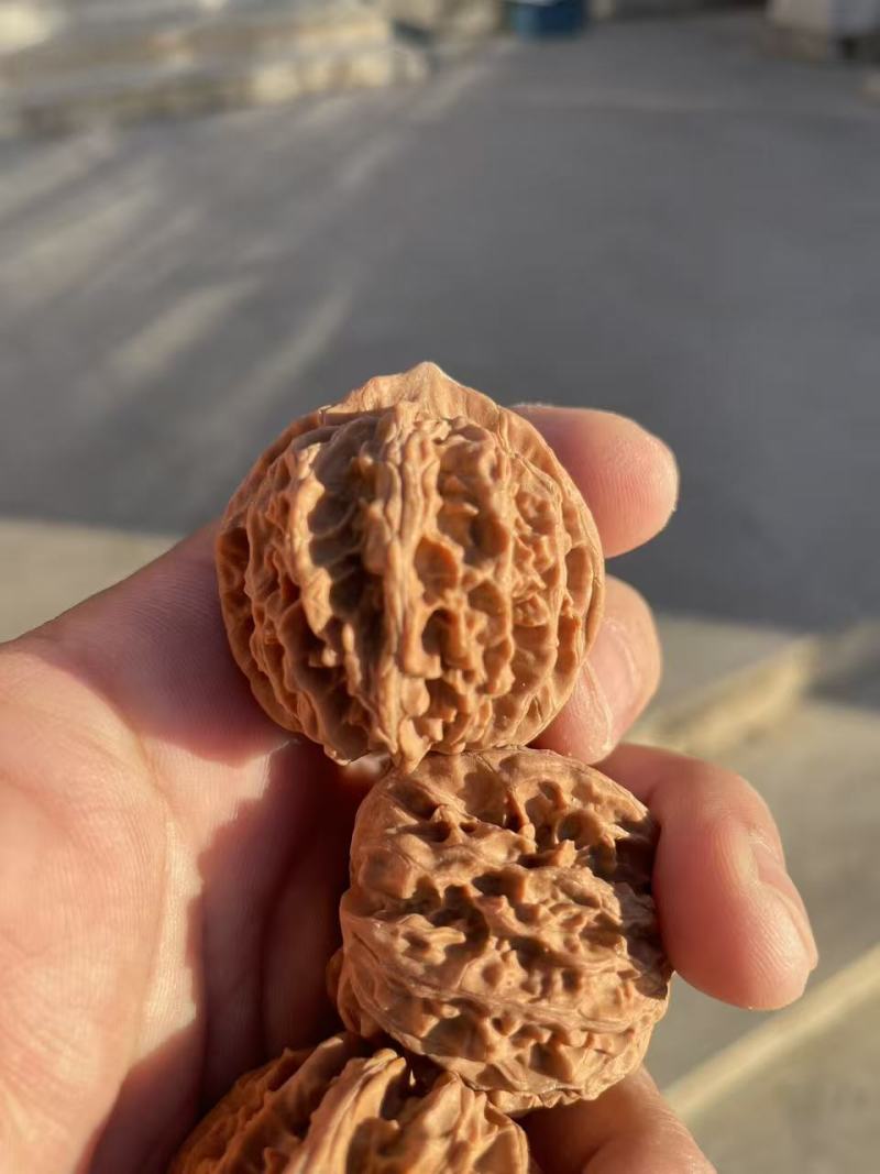 正宗的老树红皮山地文玩核桃老血灯笼狮子头