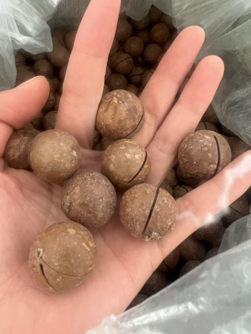 夏威夷果奶油味